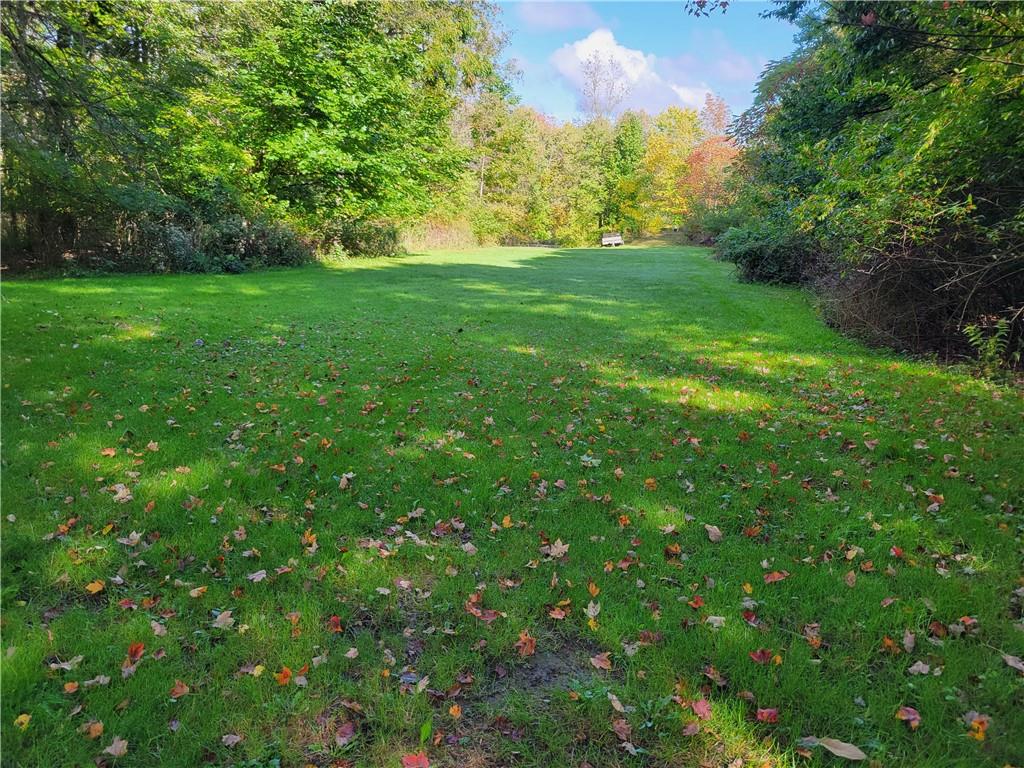 227 Crystal Spring Road Sandy Lake, PA 16145 - Photo 5 of 50 a view of yard with green space