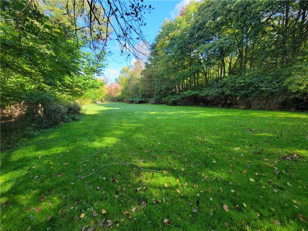 227 Crystal Spring Road Sandy Lake, PA 16145 - Photo 6 of 50 a view of yard with green space
