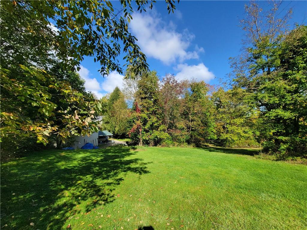227 Crystal Spring Road Sandy Lake, PA 16145 - Photo 7 of 50 a view of a trees with a yard