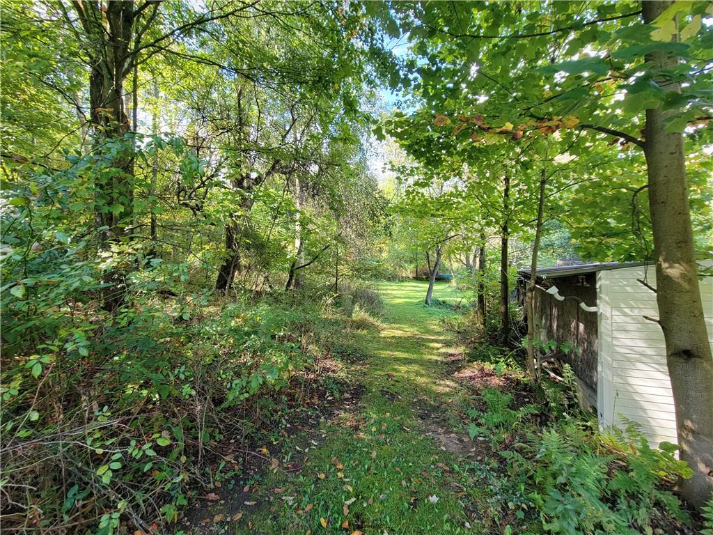227 Crystal Spring Road Sandy Lake, PA 16145 - Photo 8 of 50 a view of a yard