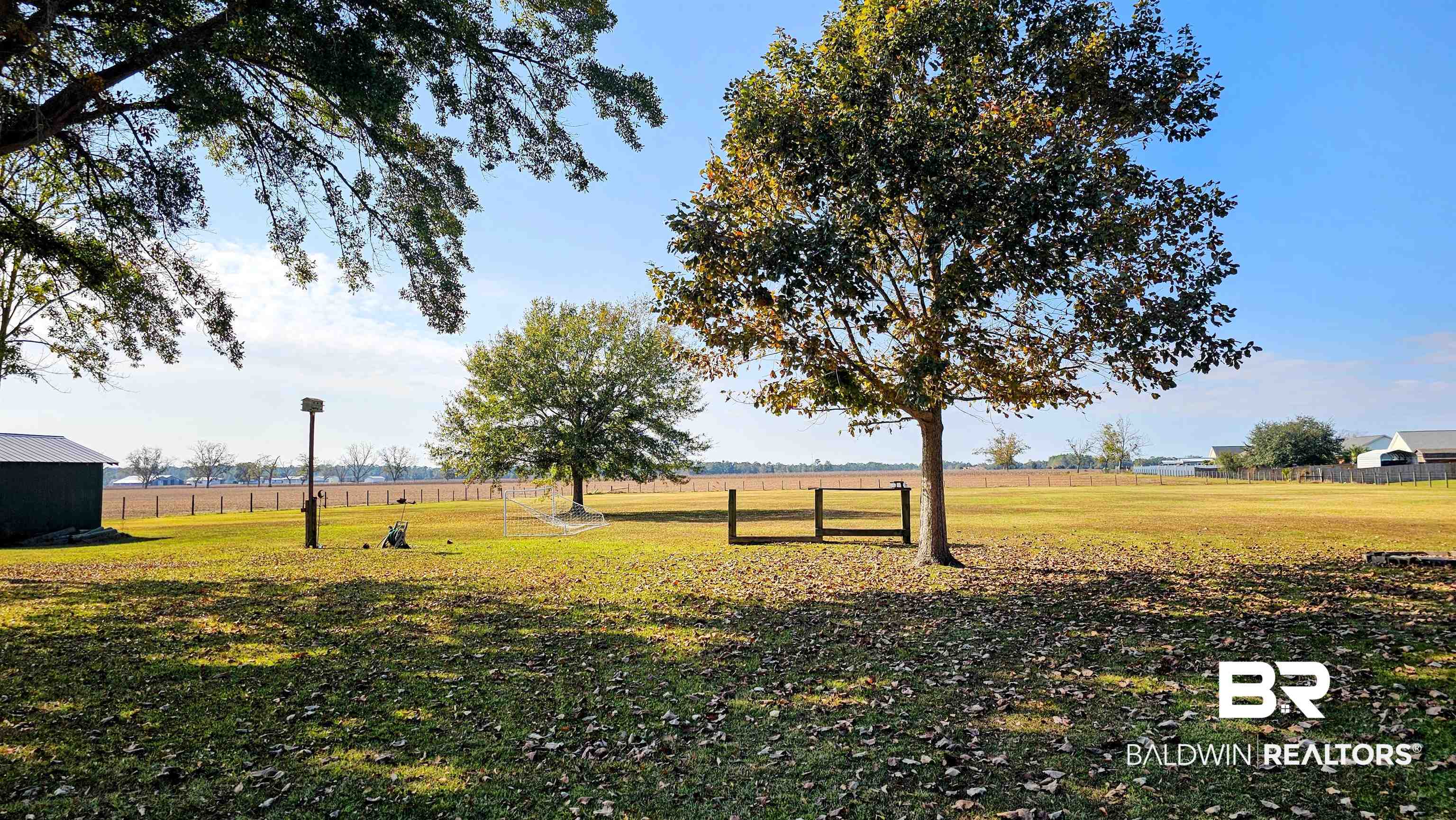 9275 Crawford Road Elberta, AL 36530 - Photo 4 of 28 View of yard