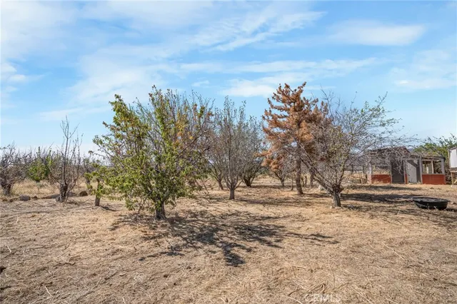 a view of a yard with trees in the background