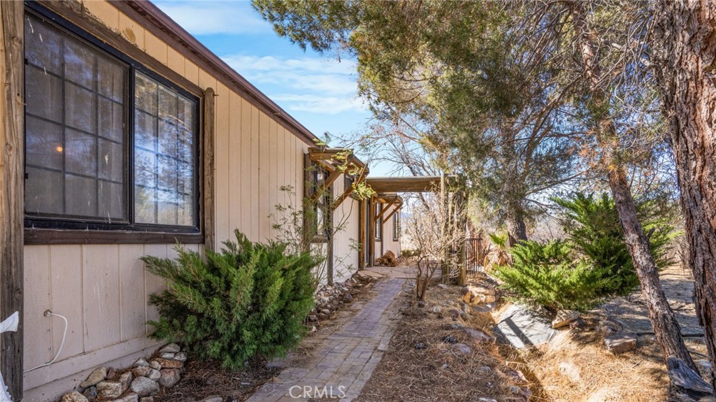 49750 3 Points Road Lancaster, CA 93536 - Photo 45 of 67 a backyard of a house with lots of green space