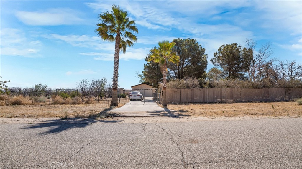 49750 3 Points Road Lancaster, CA 93536 - Photo 48 of 67 a row of palm trees sitting in middle of a yard