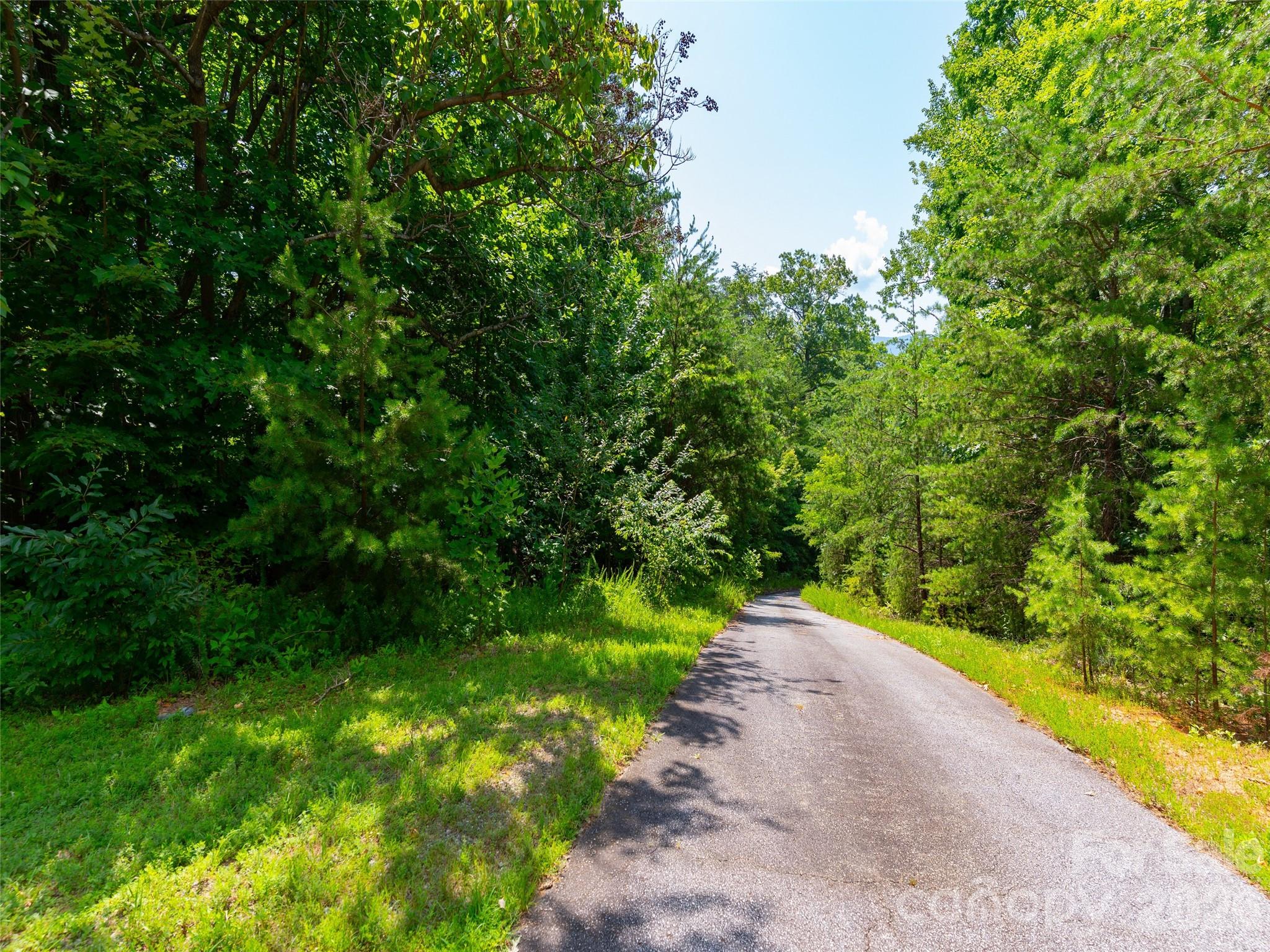 142 Elkton Court Mill Spring, NC 28756 - Photo 11 of 24 a view of a pathway both side of yard
