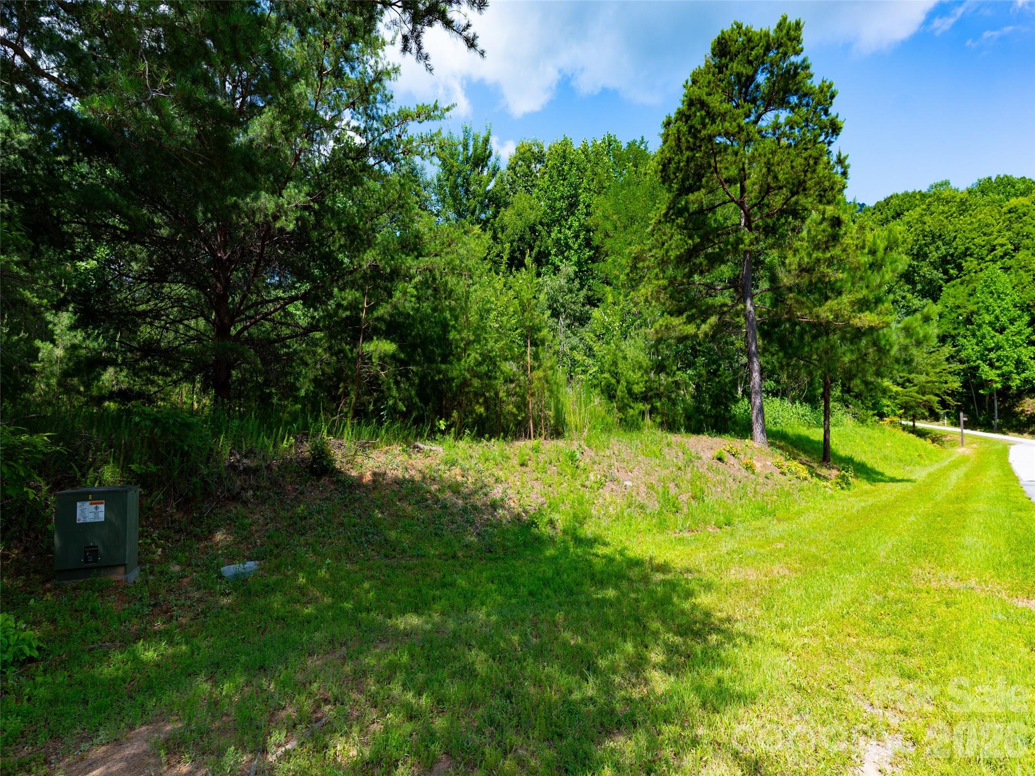 142 Elkton Court Mill Spring, NC 28756 - Photo 7 of 24 a view of an outdoor space and yard