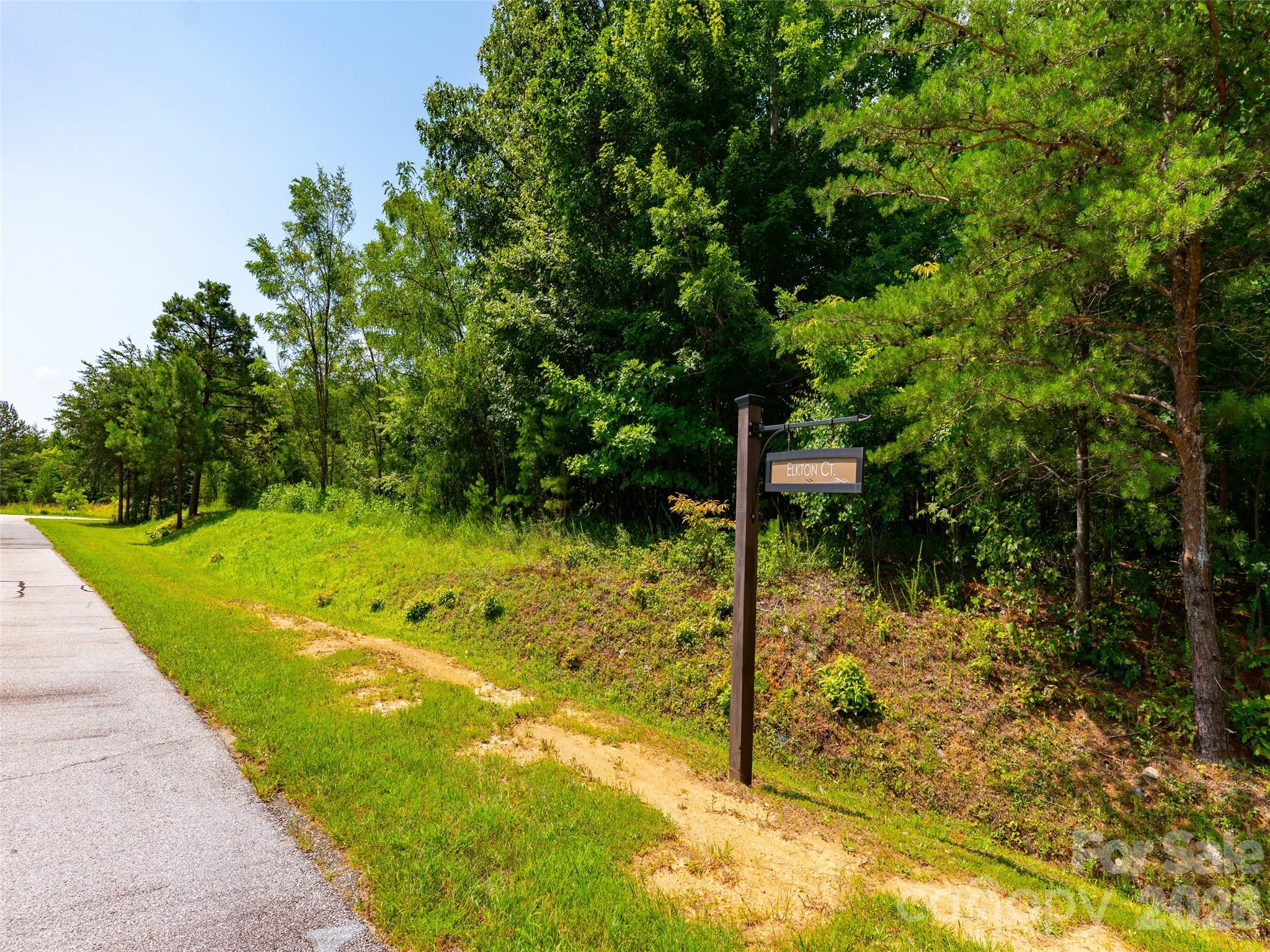 142 Elkton Court Mill Spring, NC 28756 - Photo 8 of 24 a view of a garden