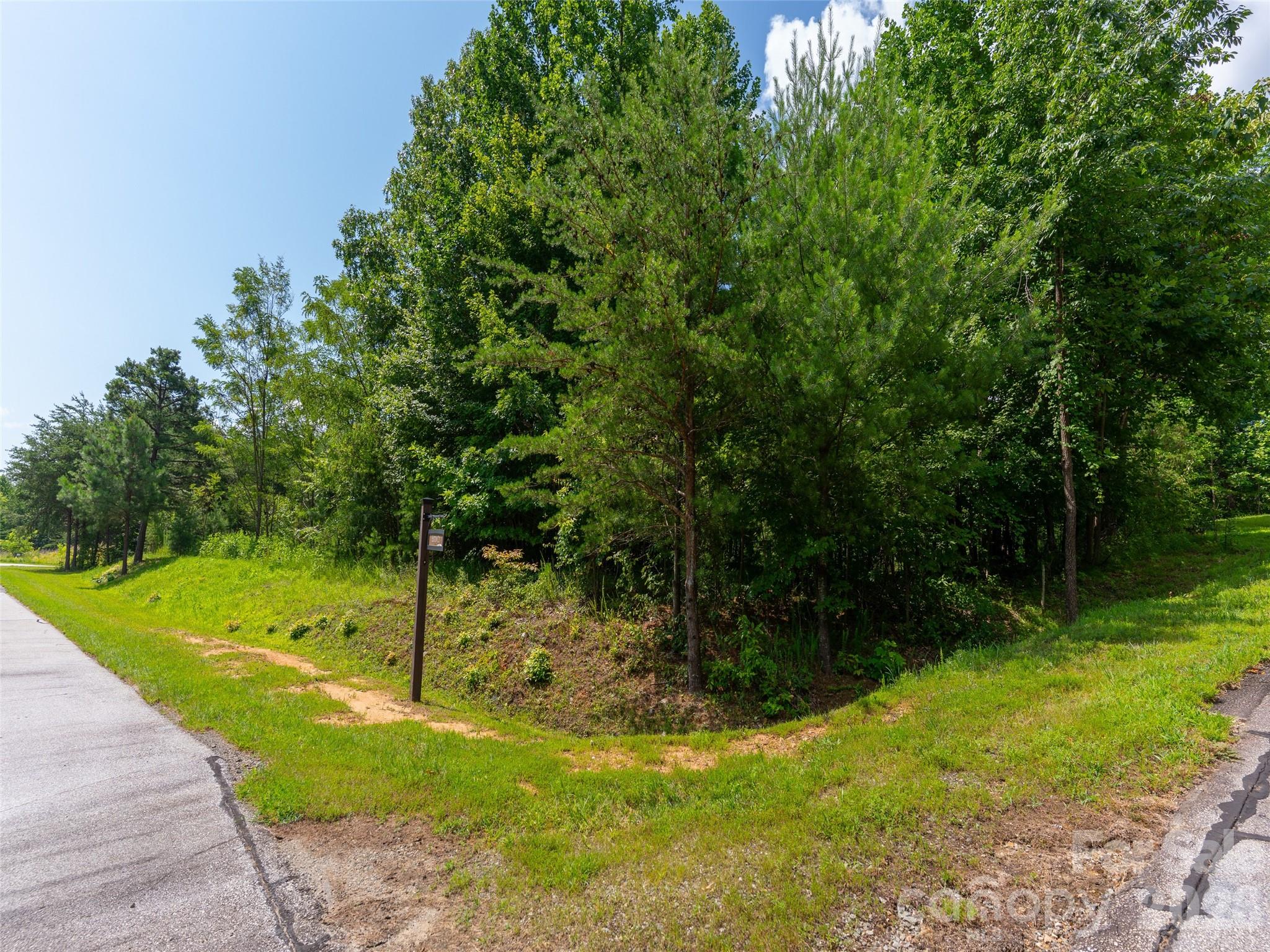142 Elkton Court Mill Spring, NC 28756 - Photo 9 of 24 a view of a yard