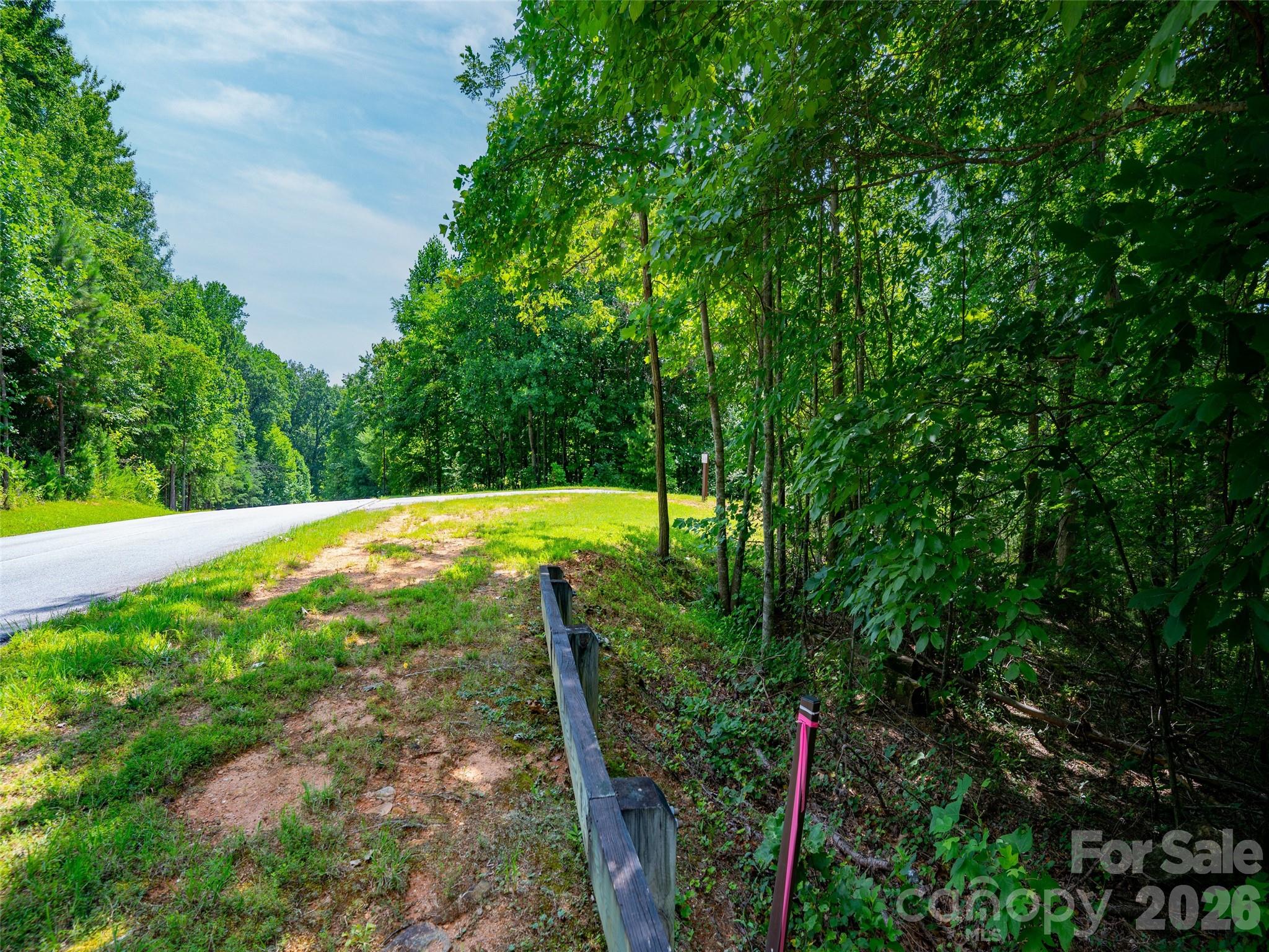 142 Elkton Court Mill Spring, NC 28756 - Photo 10 of 24 a view of a backyard