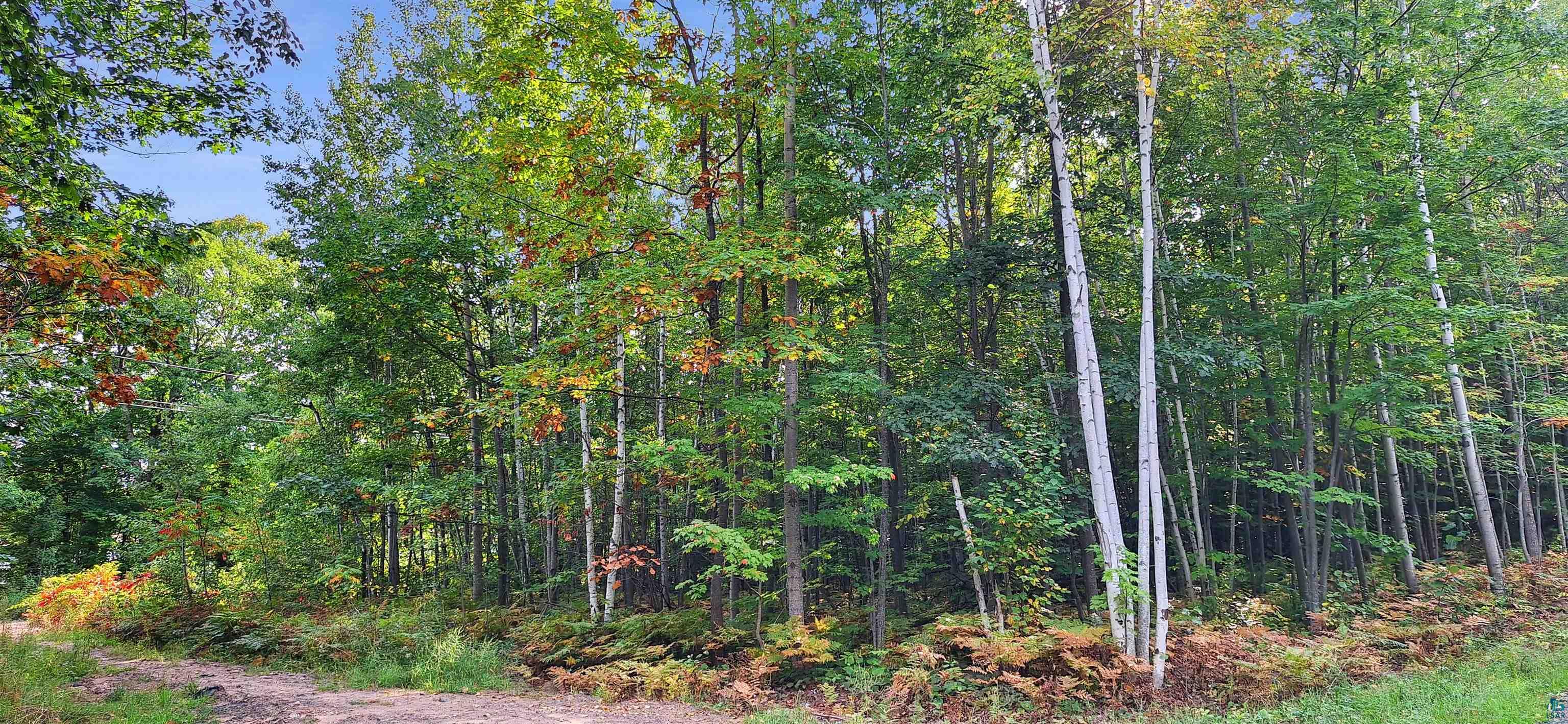 Xxx Apple Hill Road Bayfield, WI 54814 - Photo 8 of 18 Gallery Image 8
