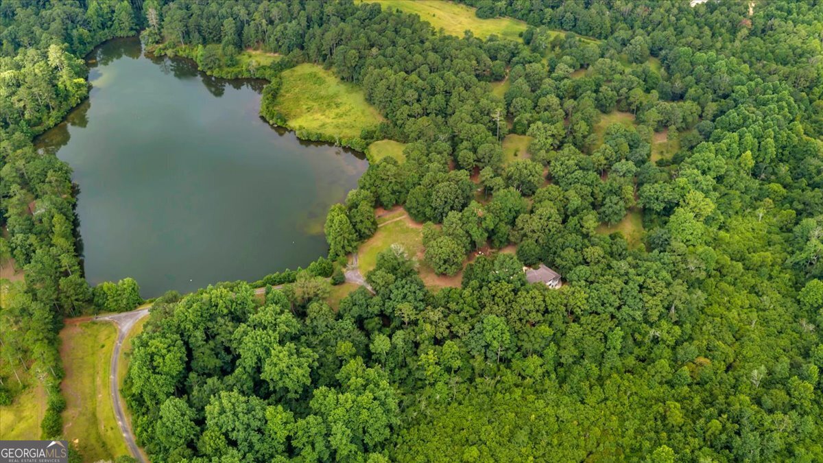 1060 Cooks Mill Road Oglethorpe, GA 31068 - Photo 91 of 104