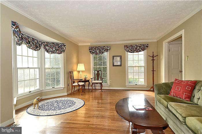 10378 Stansfield Road Laurel, MD 20723 - Photo 2 of 30 Sund-drenched living room