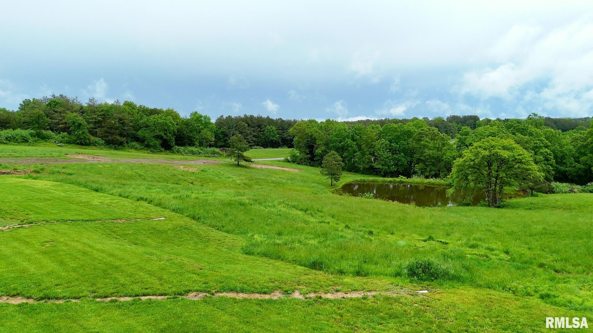 142 Oak Road Harrisburg, IL 62946 - Photo 45 of 47