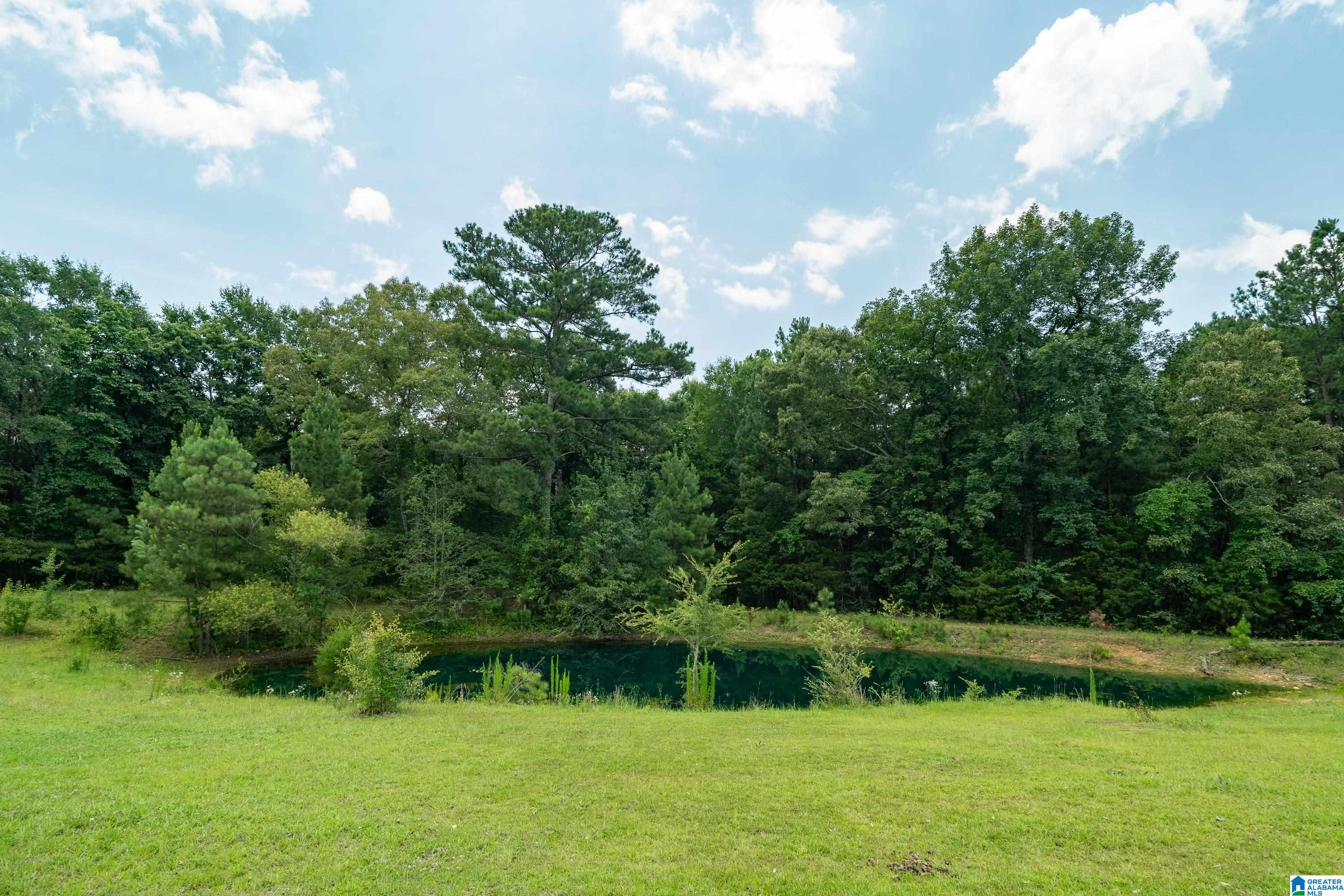 2304 Driving Range Road Cropwell, AL 35054 - Photo 53 of 59
