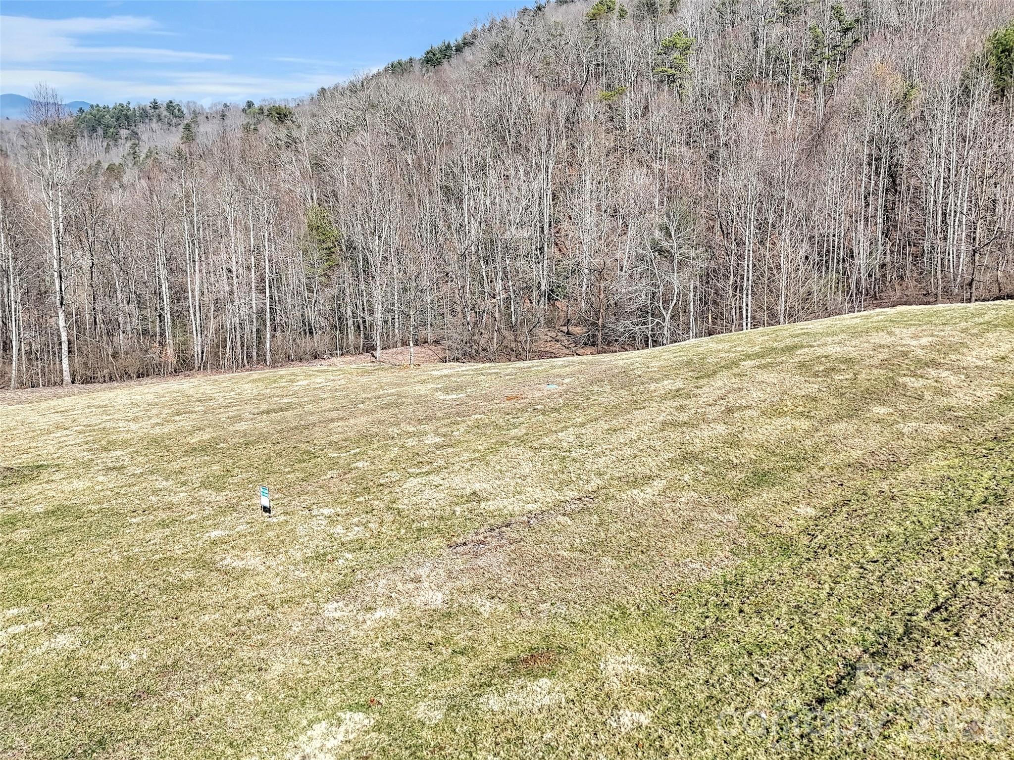 0 Seay Mountain Road Waynesville, NC 28785 - Photo 12 of 17