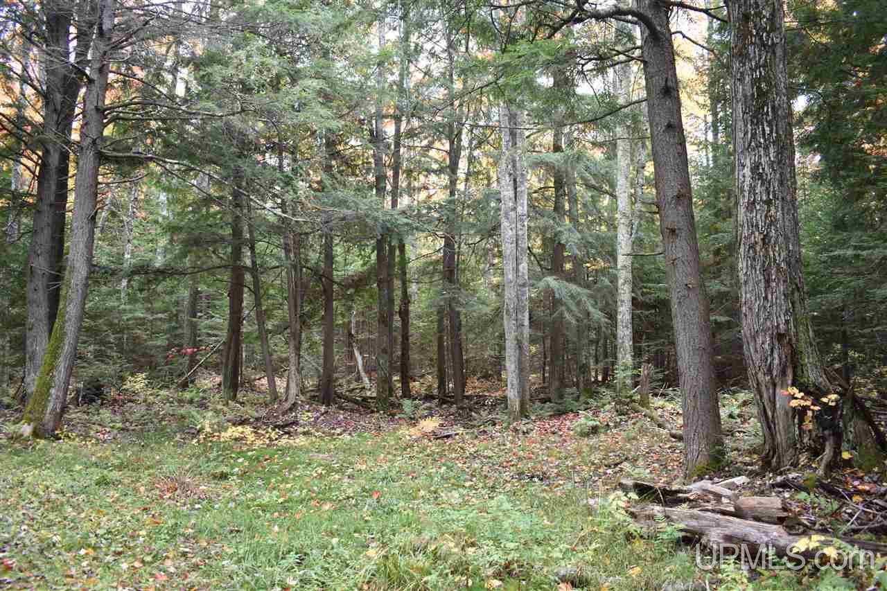 9-acres Deerton Road Deerton, MI 49822 - Photo 29 of 37 Gallery Image 29