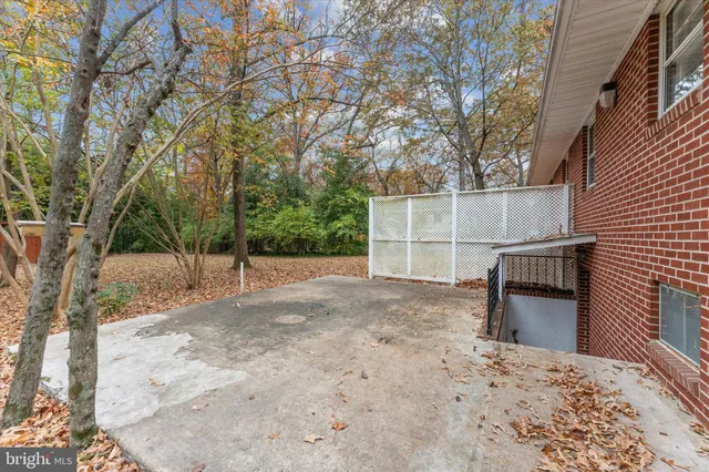a view of a backyard with a large tree