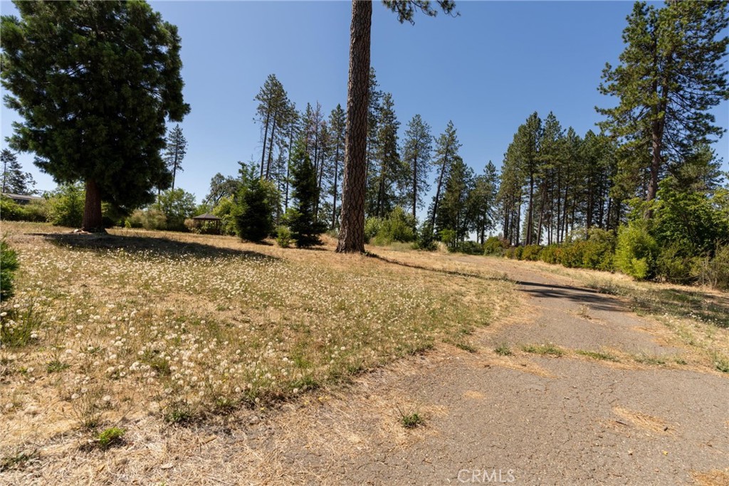 1368 Brill Road Paradise, CA 95969 - Photo 12 of 14