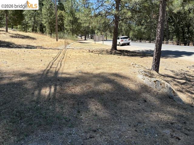 18985 Ferretti Road Groveland, CA 95321 - Photo 4 of 4 Gallery Image 4