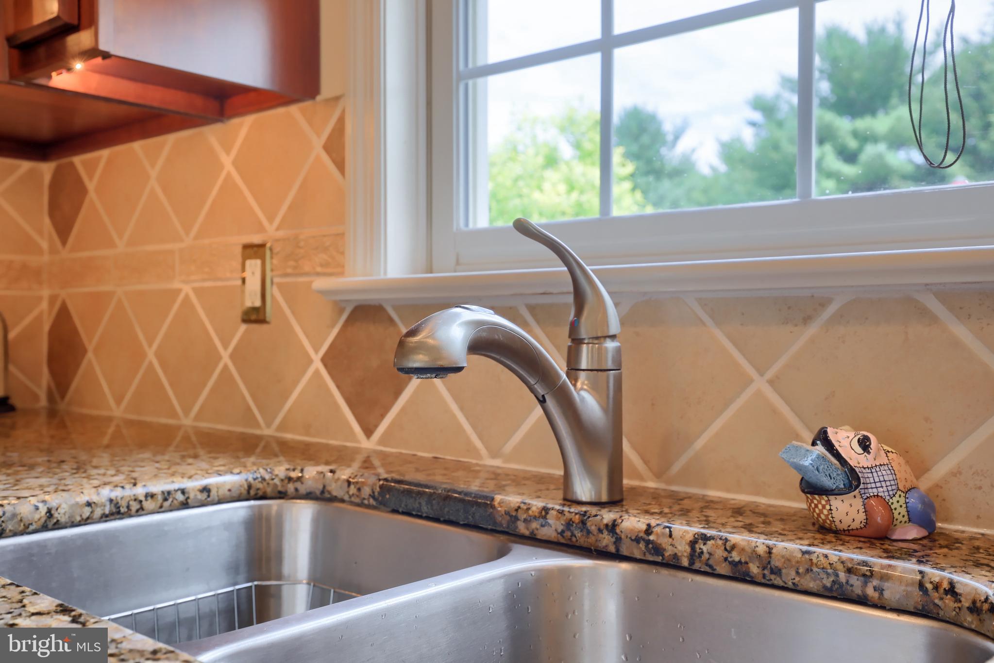 49 Duffield Drive Lititz, PA 17543 - Photo 22 of 53 Under mount Sink