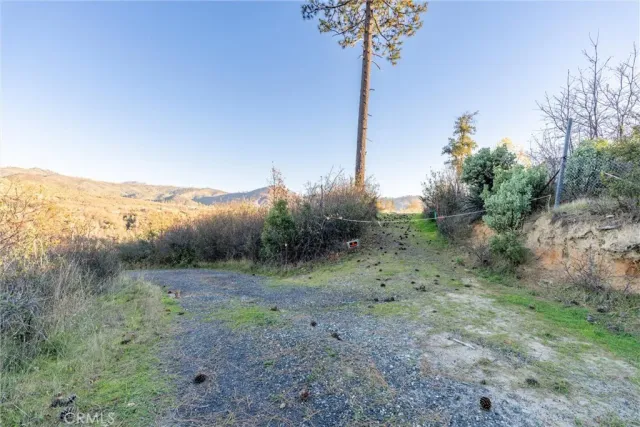 a view of lake view with large trees