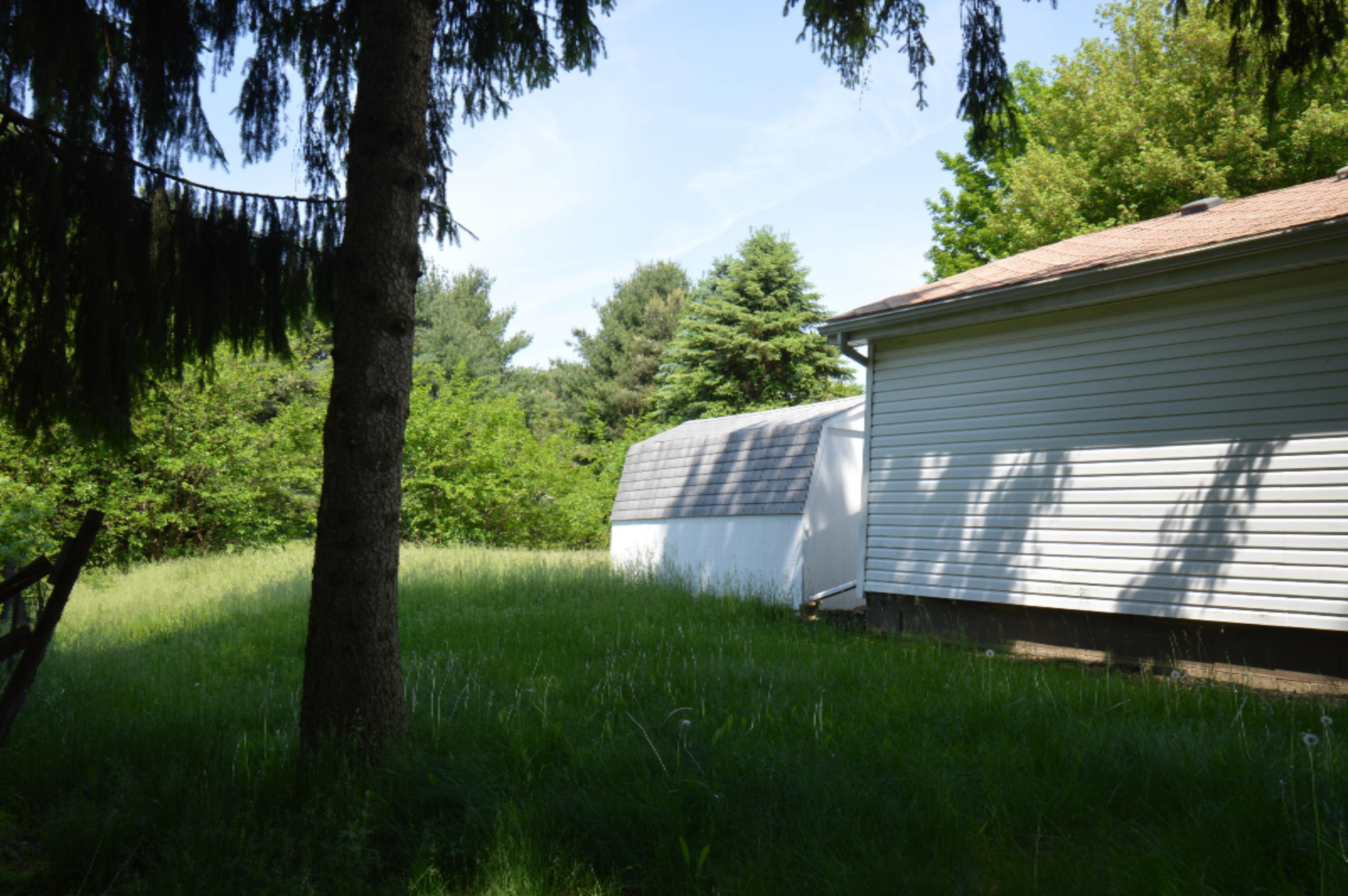 50864 Maple Island Road Dowagiac, MI 49047 - Photo 14 of 14 DSC_0084