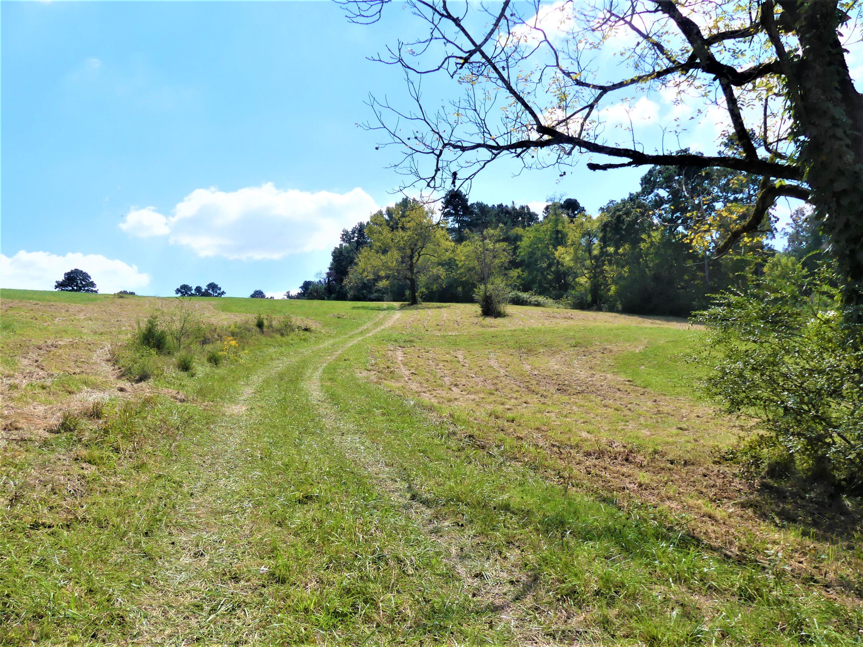 0 Co Road Athens, TN 37303 - Photo 8 of 12 P1180042 (2)
