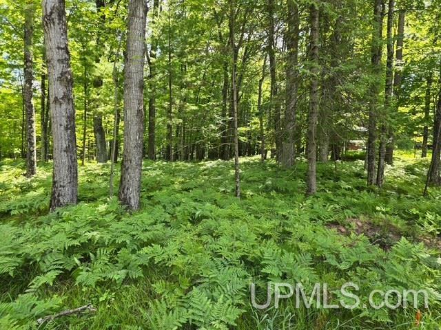 Tbd East Tbd E Bar D Ranch Road Iron Mountain, MI 49801 - Photo 3 of 3