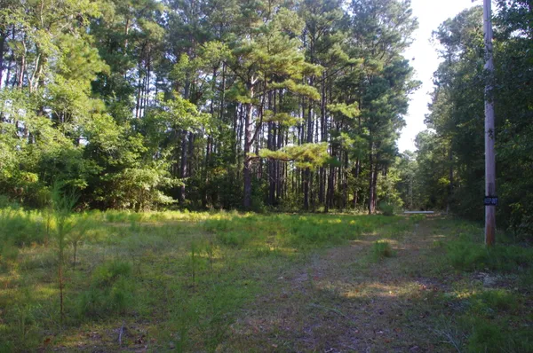 $220,000 | 243 Bridalwreath Drive, St. Matthews, SC 29135