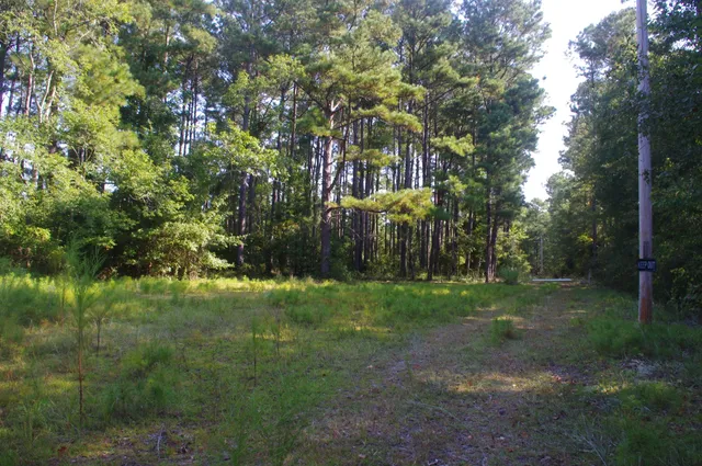 $220,000 | 243 Bridalwreath Drive, St. Matthews, SC 29135