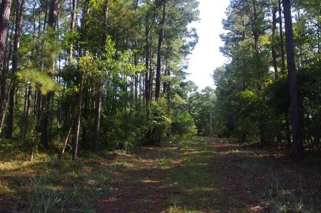 $220,000 | 243 Bridalwreath Drive, St. Matthews, SC 29135