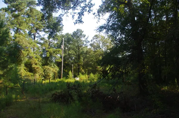 $220,000 | 243 Bridalwreath Drive, St. Matthews, SC 29135