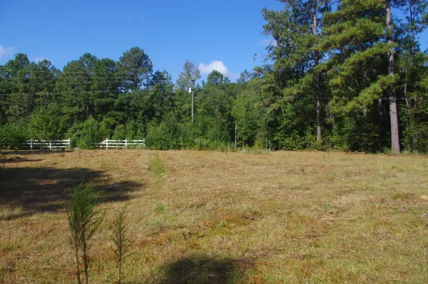 $220,000 | 243 Bridalwreath Drive, St. Matthews, SC 29135