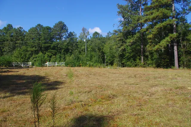 $220,000 | 243 Bridalwreath Drive, St. Matthews, SC 29135