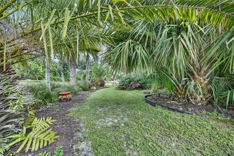 a view of a garden with a tree