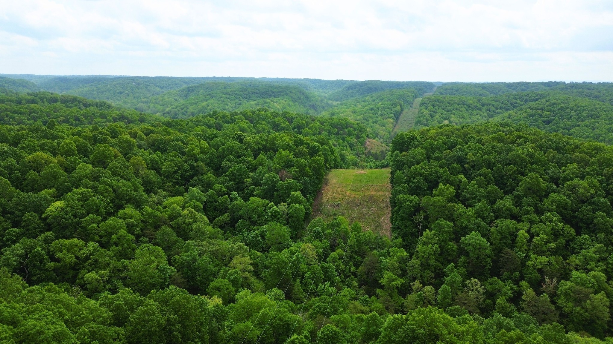 0 Ridge Road Joelton, TN 37080 - Photo 24 of 40 Gallery Image 24