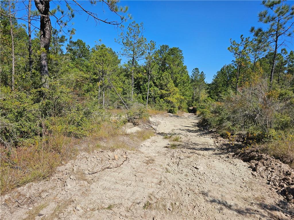 0 Setliff Road Flatwoods, LA 71427 - Photo 4 of 8 Gallery Image 4