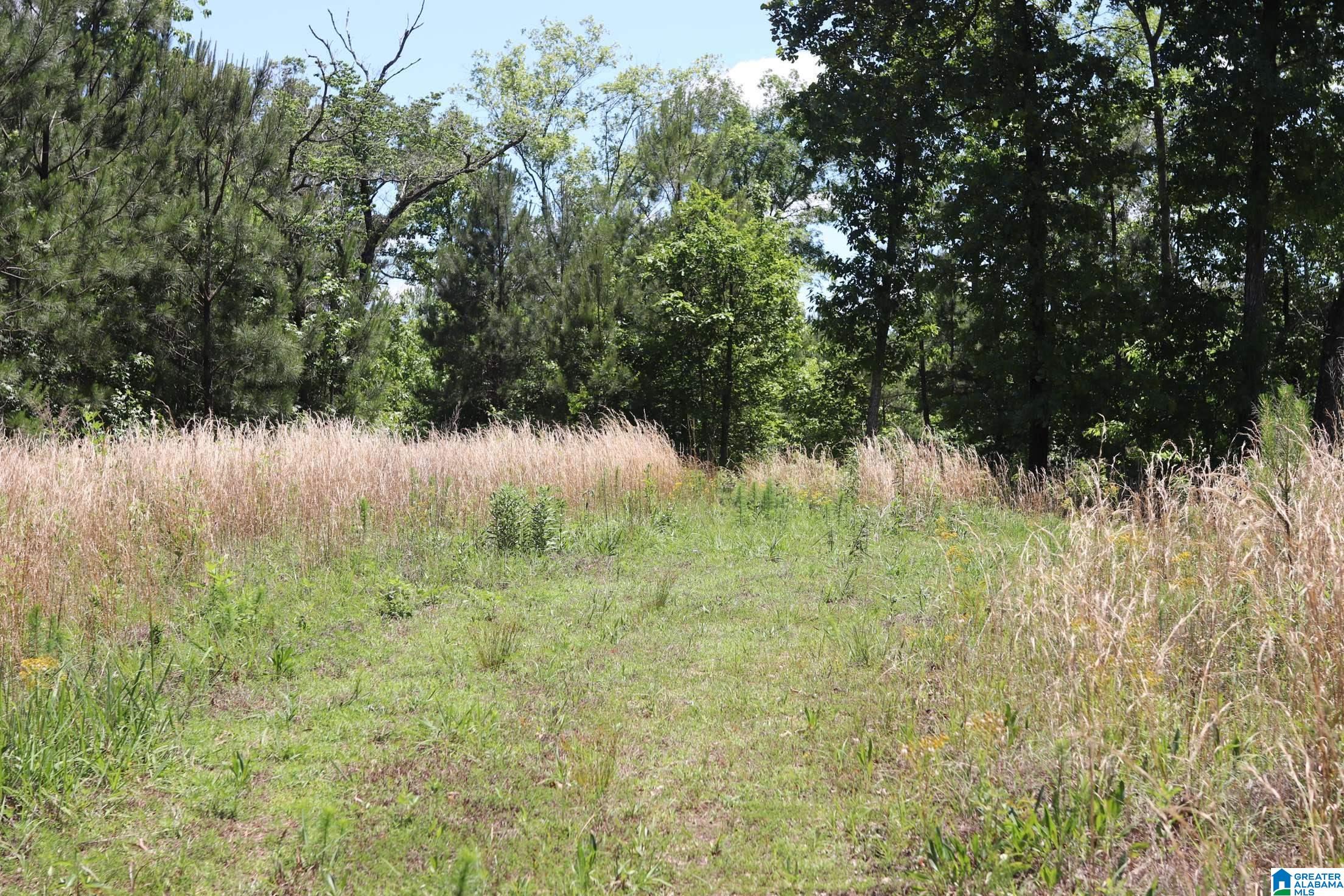 2930 Shocco Springs Road Talladega, AL 35160 - Photo 83 of 93