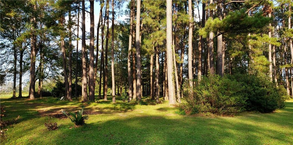 16290 West Bennett Road Independence, LA 70443 - Photo 34 of 39