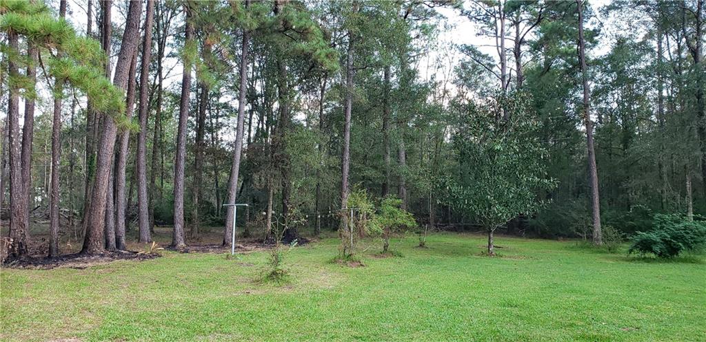 16290 West Bennett Road Independence, LA 70443 - Photo 36 of 39