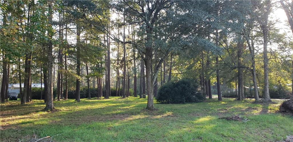 16290 West Bennett Road Independence, LA 70443 - Photo 37 of 39