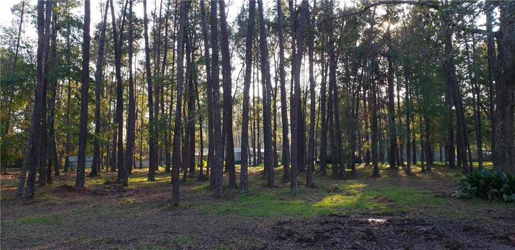 16290 West Bennett Road Independence, LA 70443 - Photo 39 of 39