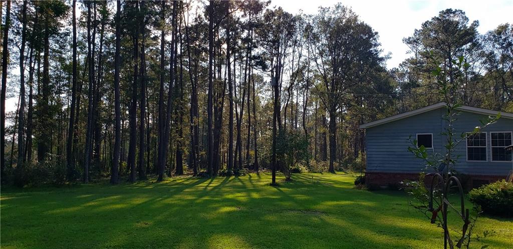 16290 West Bennett Road Independence, LA 70443 - Photo 7 of 39