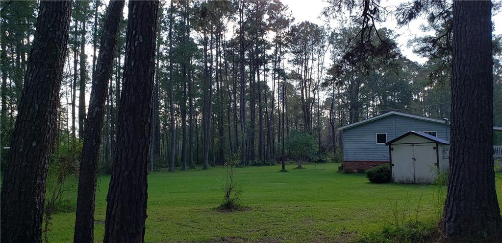 16290 West Bennett Road Independence, LA 70443 - Photo 8 of 39