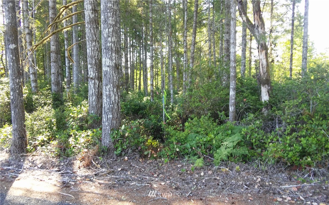-5.88 Ac East Thomas Road Grapeview, WA 98546 - Photo 2 of 14 Gallery Image 2