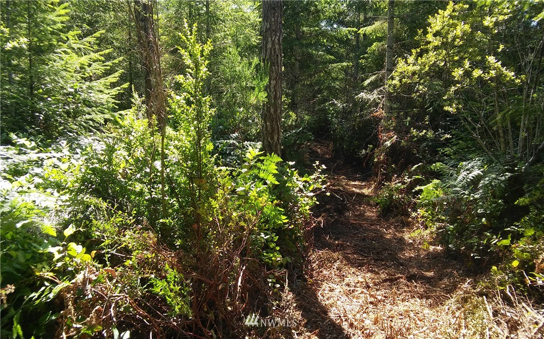 -5.88 Ac East Thomas Road Grapeview, WA 98546 - Photo 11 of 14 Gallery Image 11