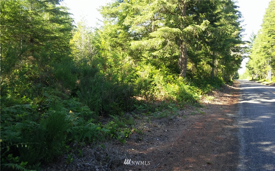 -5.88 Ac East Thomas Road Grapeview, WA 98546 - Photo 13 of 14 Gallery Image 13