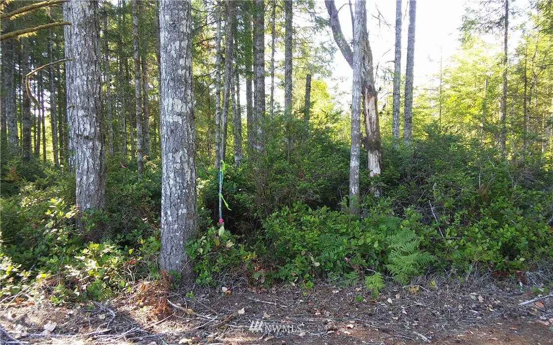 -5.88 Ac East Thomas Road Grapeview, WA 98546 - Photo 3 of 14 Gallery Image 3