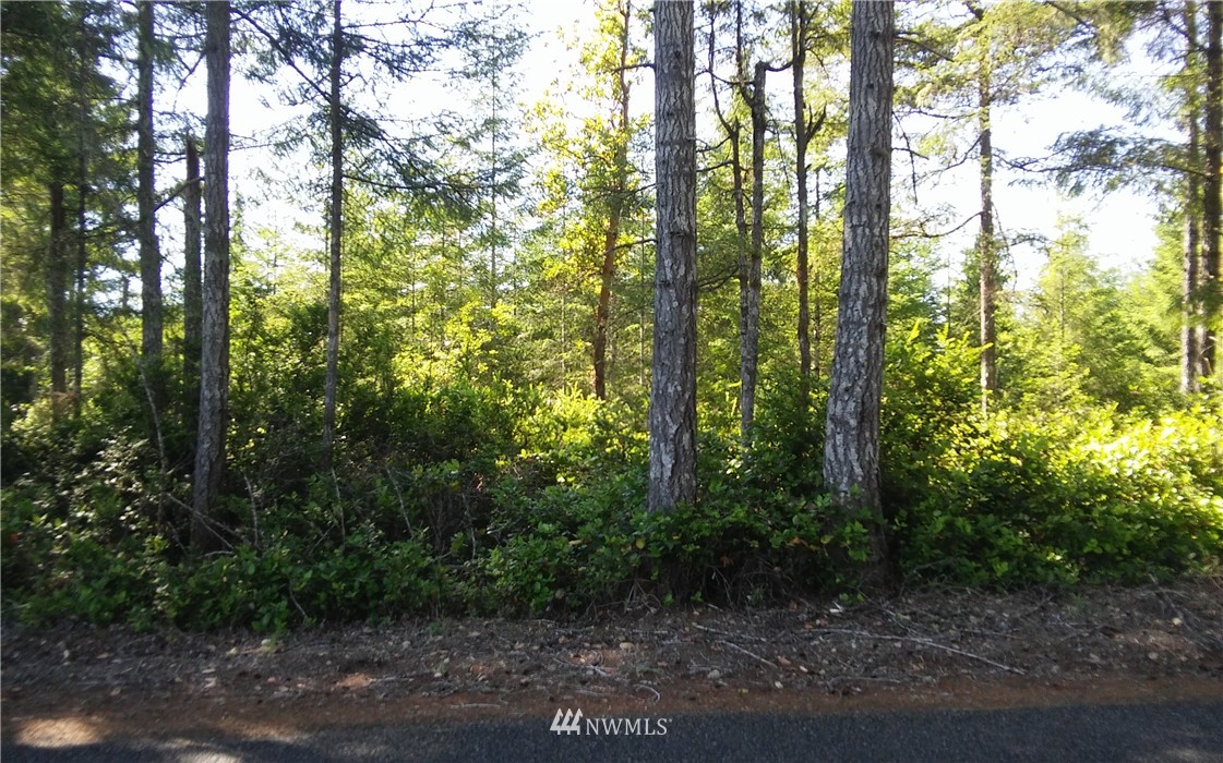 -5.88 Ac East Thomas Road Grapeview, WA 98546 - Photo 4 of 14 Gallery Image 4
