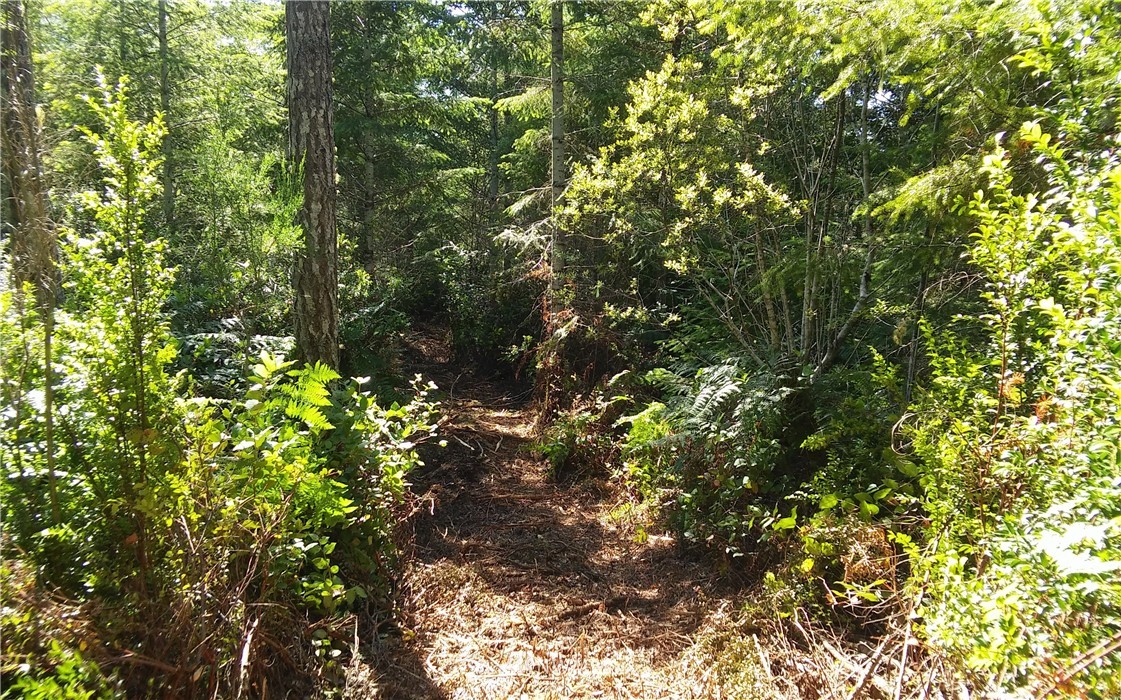 -5.88 Ac East Thomas Road Grapeview, WA 98546 - Photo 10 of 14 Gallery Image 10